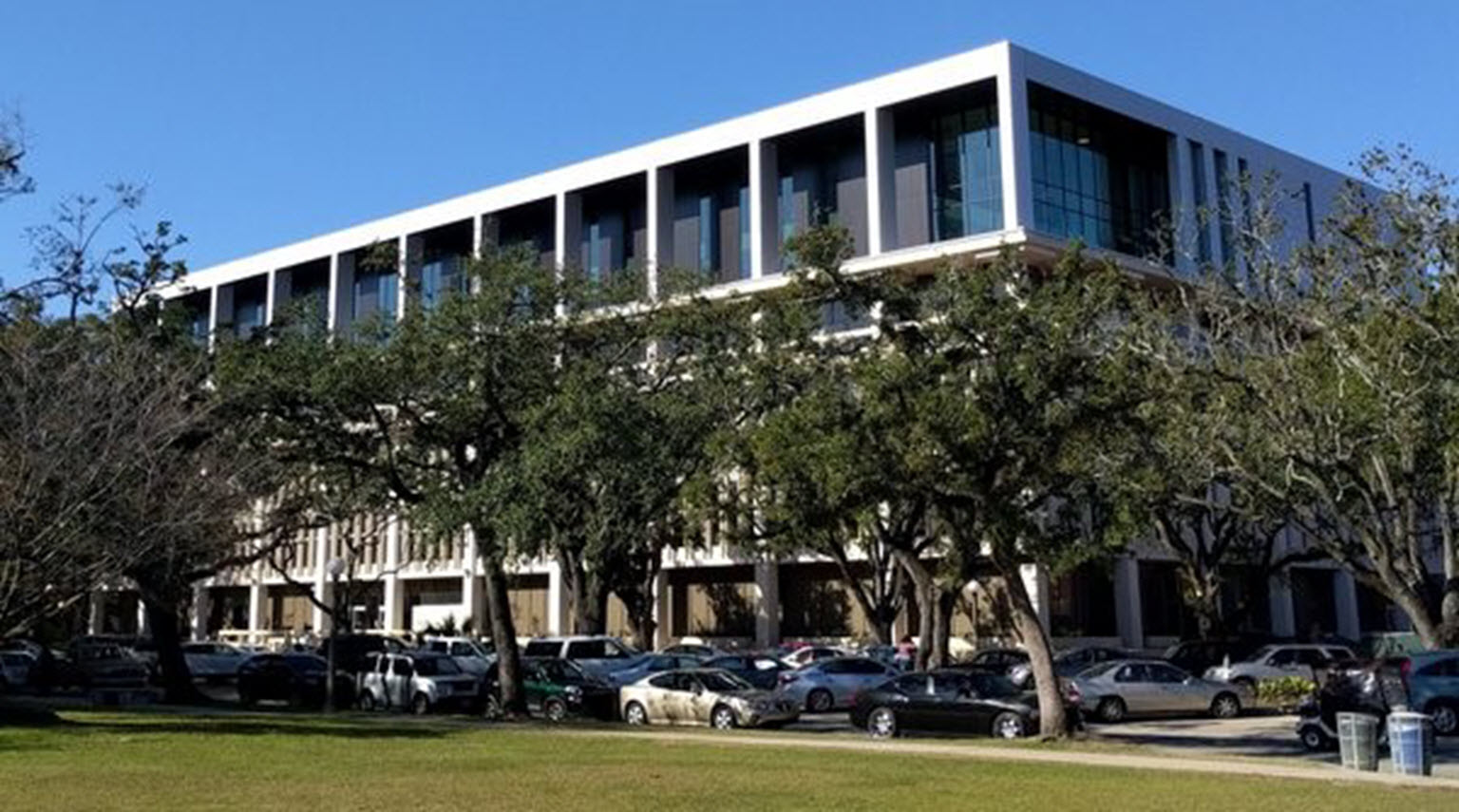 Tulane University, Tulane University Libraries 